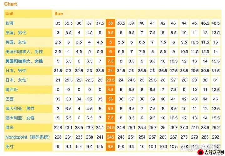 日本尺码与欧美尺码对照表：全面精准解析差异与转换