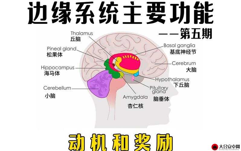 基础系统之奖励系统